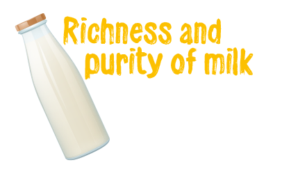 purity_milk
